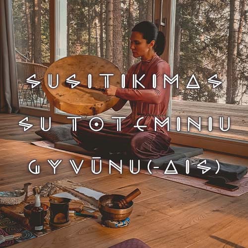 Susitikimas su Toteminiu gyvūnu (-ais), Susitikimas su toteminiu gyvunu ais